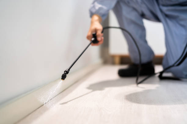 Licensed Termite Control service in Pleasant Prairie, WI - Nex Pest Control