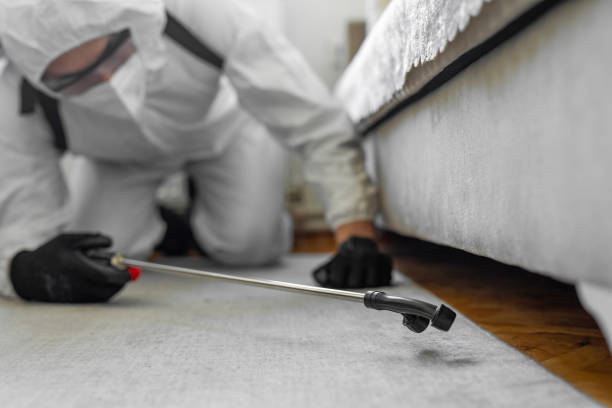 Professional Termite Control technician working in Pleasant Prairie, WI