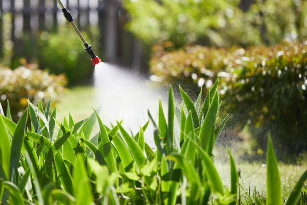 24/7 Emergency Termite Control experts in Pleasant Prairie, WI