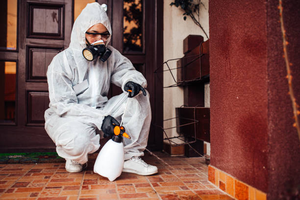 Reliable Termite Control contractor in Pleasant Prairie, WI by Nex Pest Control