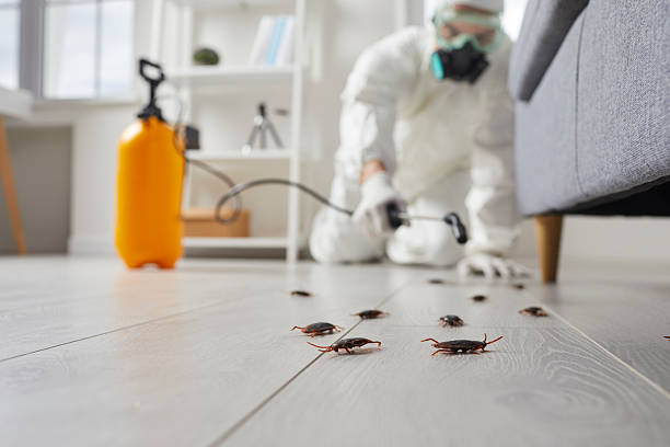 Trusted Termite Control service in Pleasant Prairie, WI - Nex Pest Control